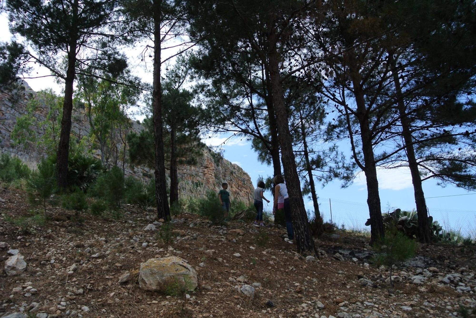 Ferienwohnung La Pineta Al Mare Erice Exterior foto